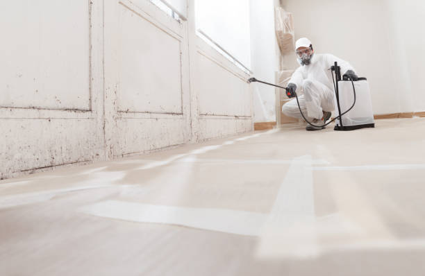 24/7 Emergency Attic Mold Removal experts in Sharon, PA