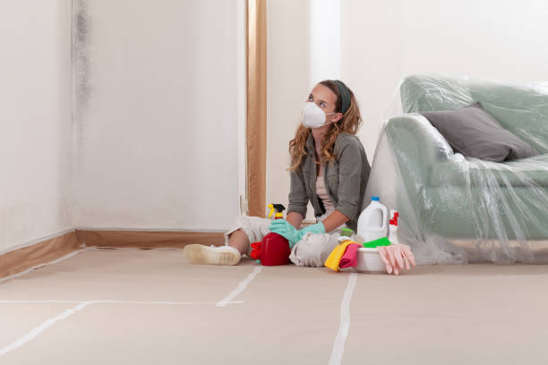 Reliable Attic Mold Removal contractor in Sharon, PA by WQB Mold Removal