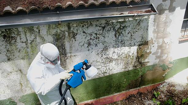 Top rated local Attic Mold Removal specialists in Sharon, PA